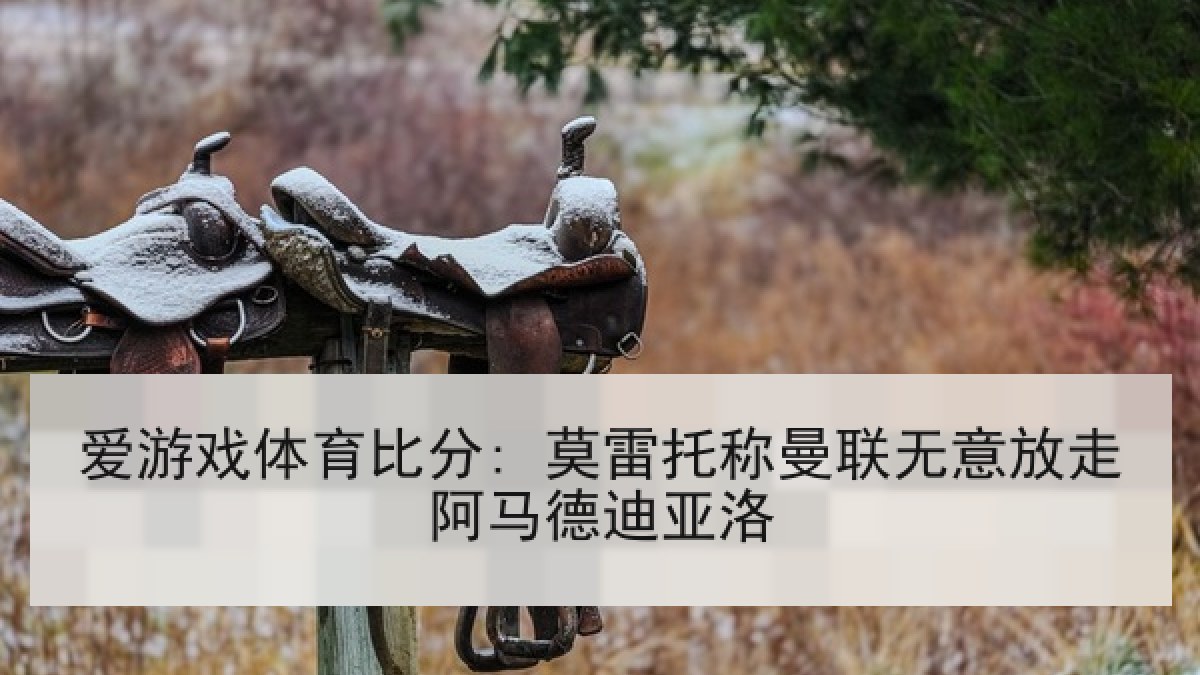 爱游戏体育比分: 莫雷托称曼联无意放走阿马德迪亚洛