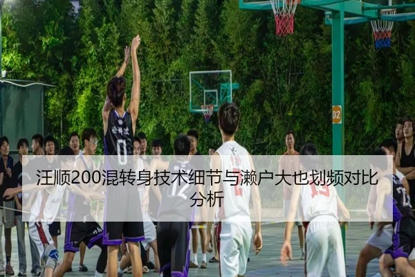 wang-shun-hun-zhuan-shen-ji-shu-xi-jie-yu-lai-hu-da-ye-hua-pin-dui-bi-fen-xi-2-188.jpg
