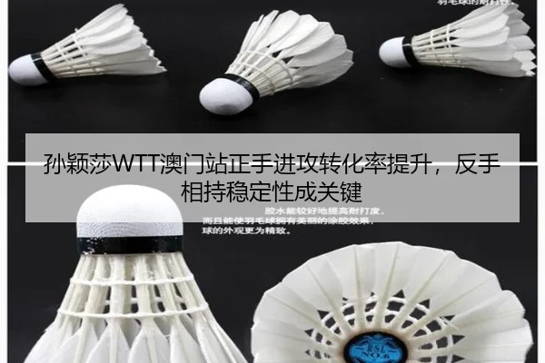 sun-ying-sha-ao-men-zhan-zheng-shou-jin-gong-zhuan-hua-lv-ti-sheng-fan-shou-xiang-chi-wen-ding-xing-cheng-guan-jian-2-712.jpg