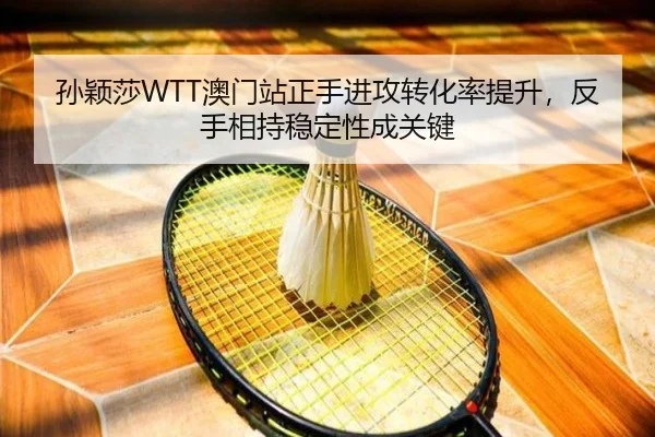 sun-ying-sha-ao-men-zhan-zheng-shou-jin-gong-zhuan-hua-lv-ti-sheng-fan-shou-xiang-chi-wen-ding-xing-cheng-guan-jian-3-393.jpg