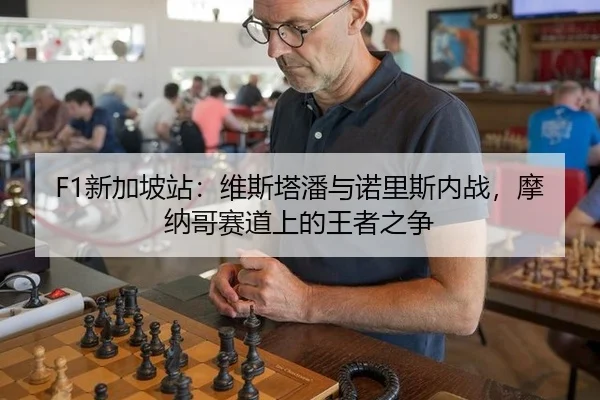 xin-jia-po-zhan-wei-si-ta-pan-yu-nuo-li-si-nei-zhan-mo-na-ge-sai-dao-shang-de-wang-zhe-zhi-zheng-3-746.jpg